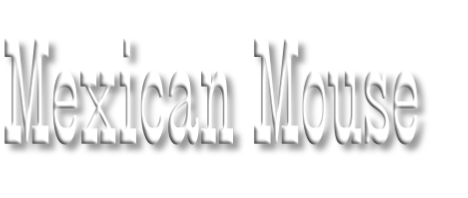 Mexican Mouse
