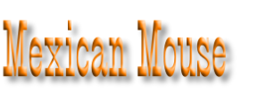 Mexican Mouse

